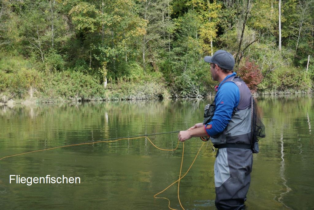 Fliegenfischen in der Iller